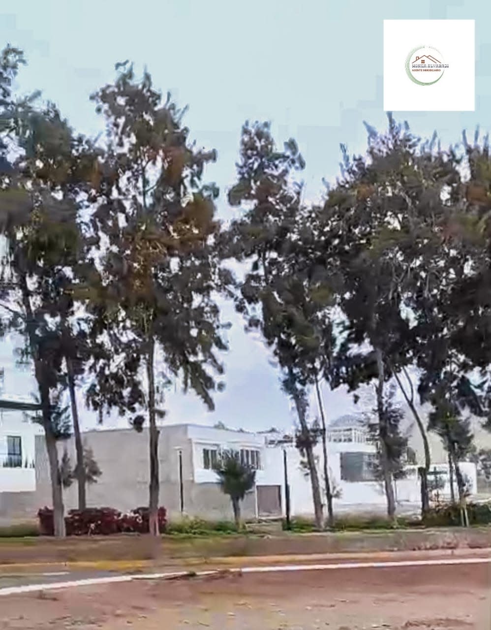 Imagen 7