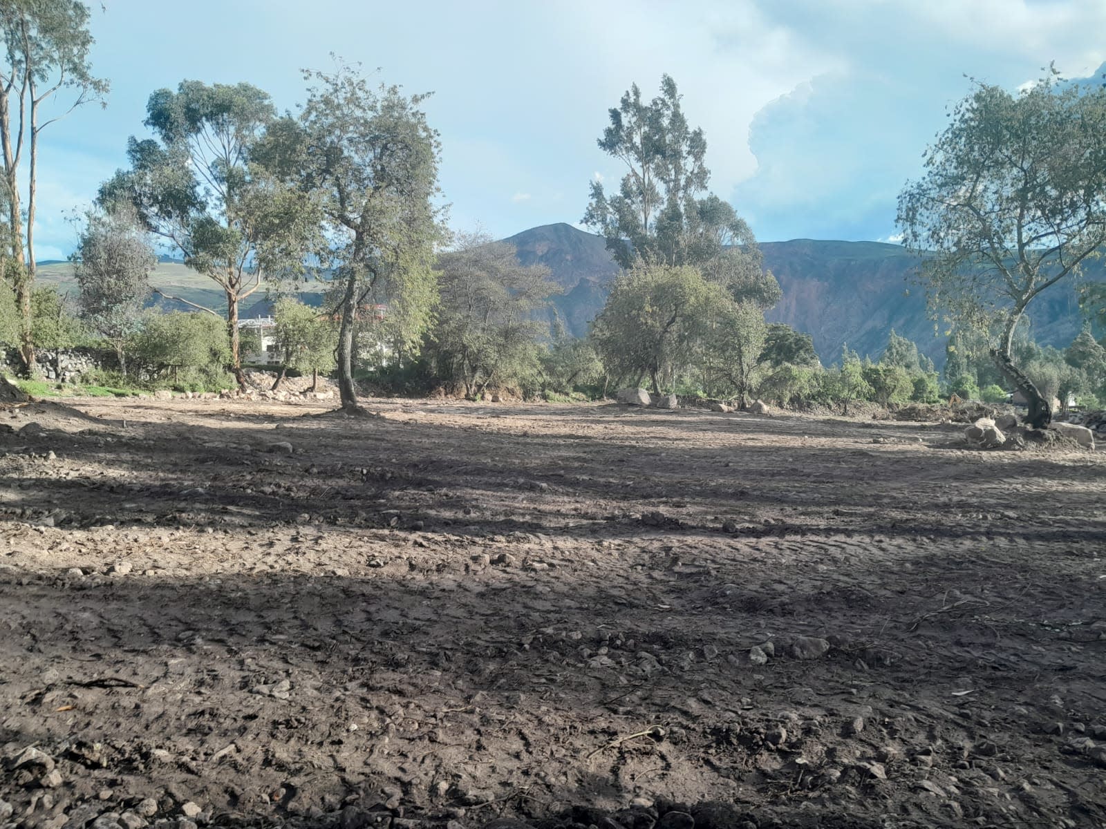 Imagen 4
