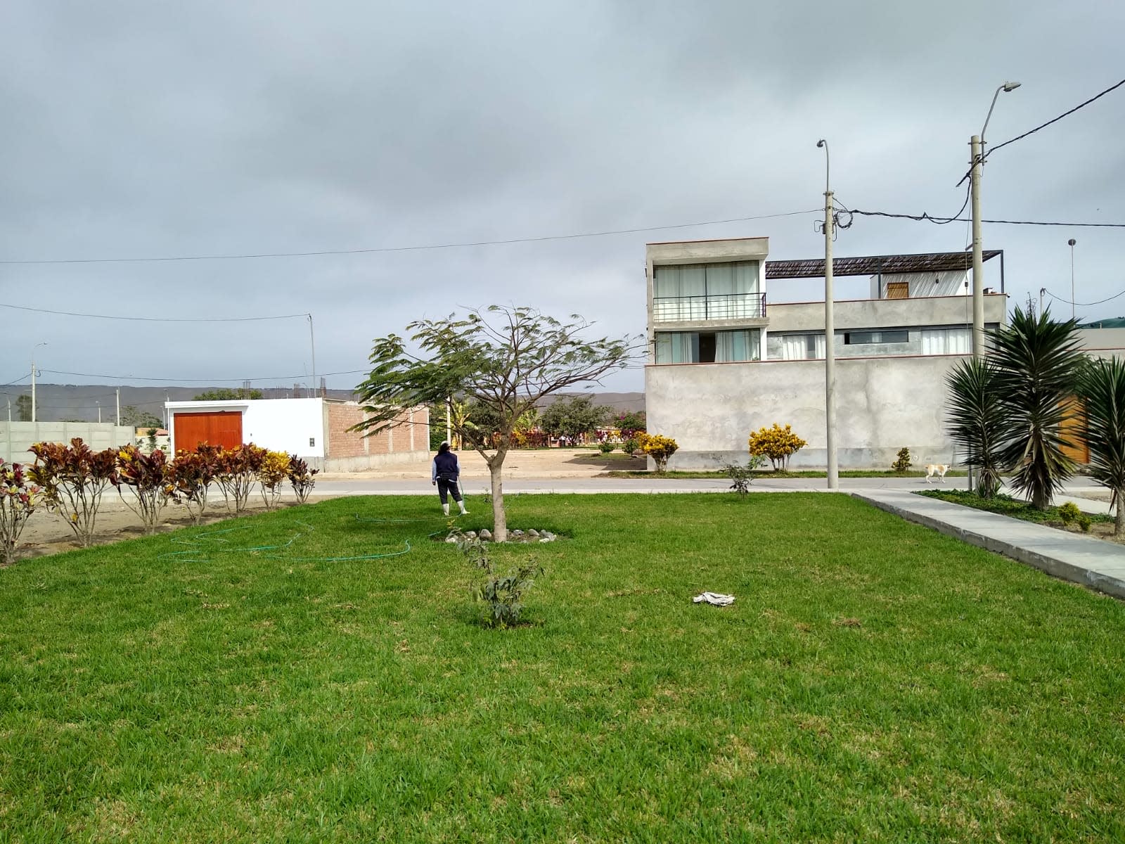 Imagen 14