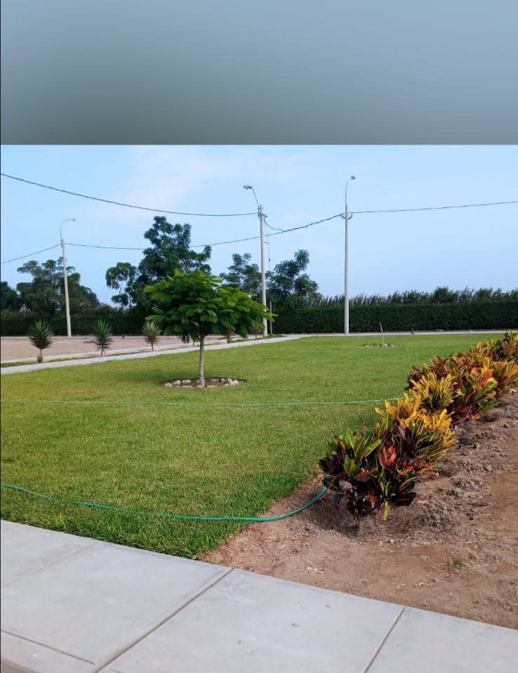 Imagen 5