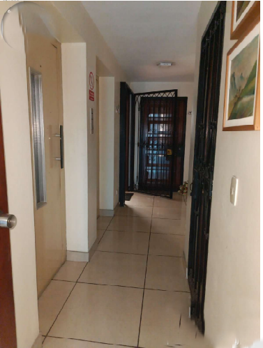 Imagen 5