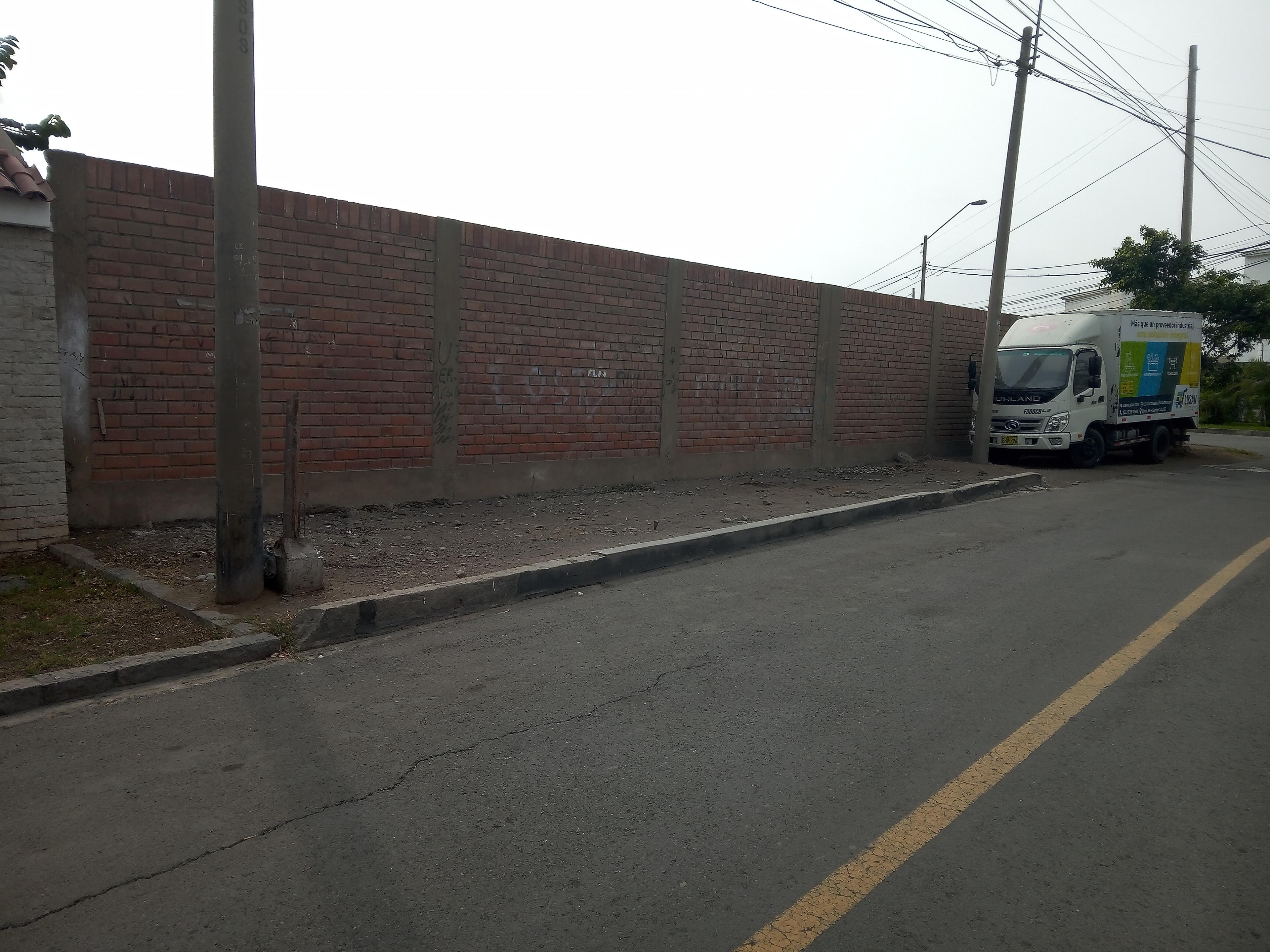 Imagen 11