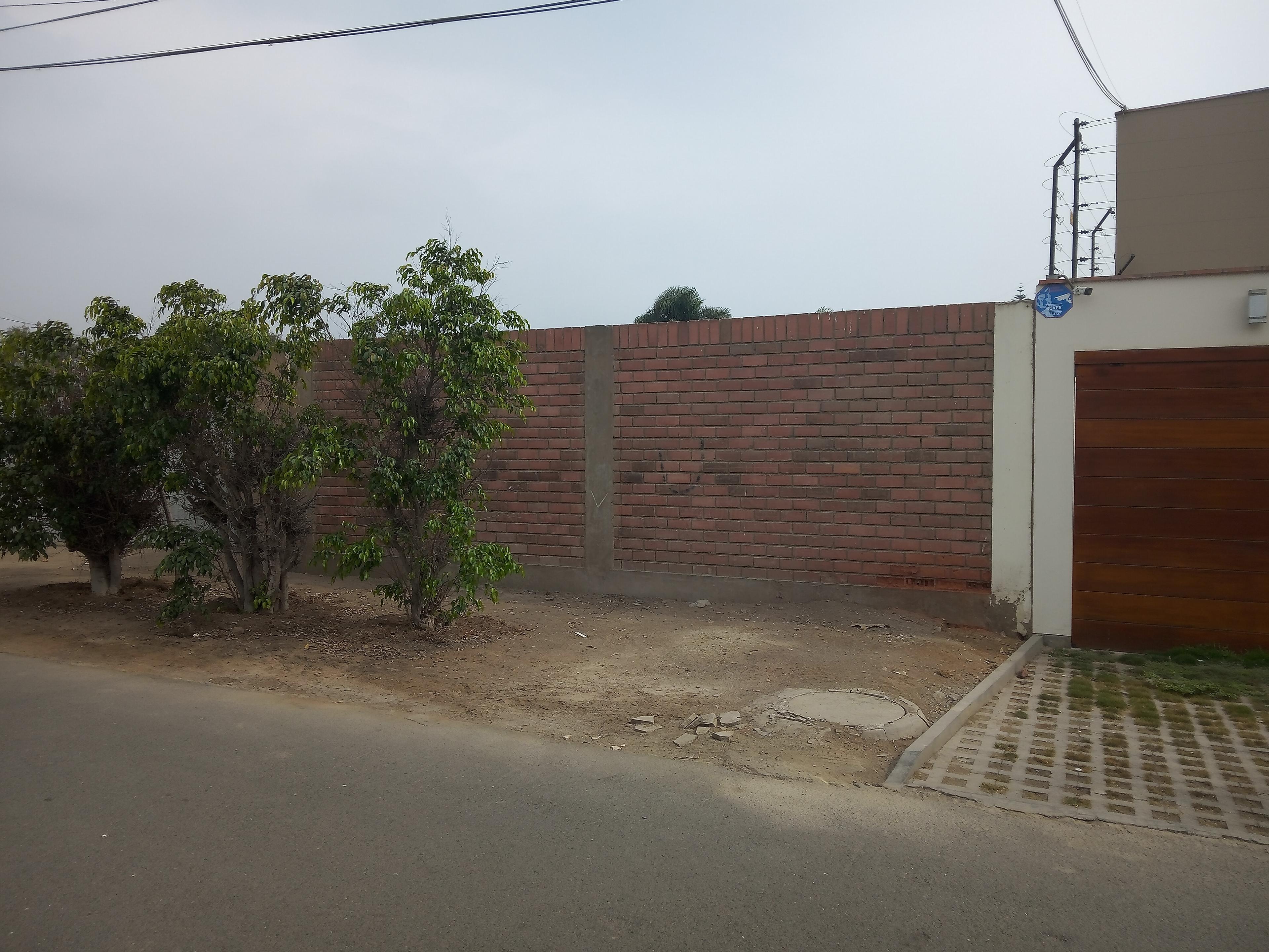 Imagen 14