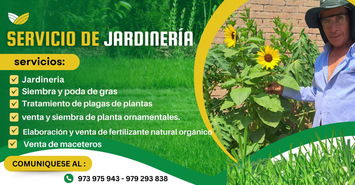 Servicio profesional de corte de césped
