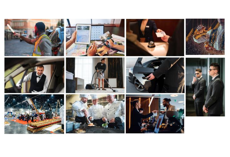 Palma Logo - Palma Staff: Dedicated at every stage.
