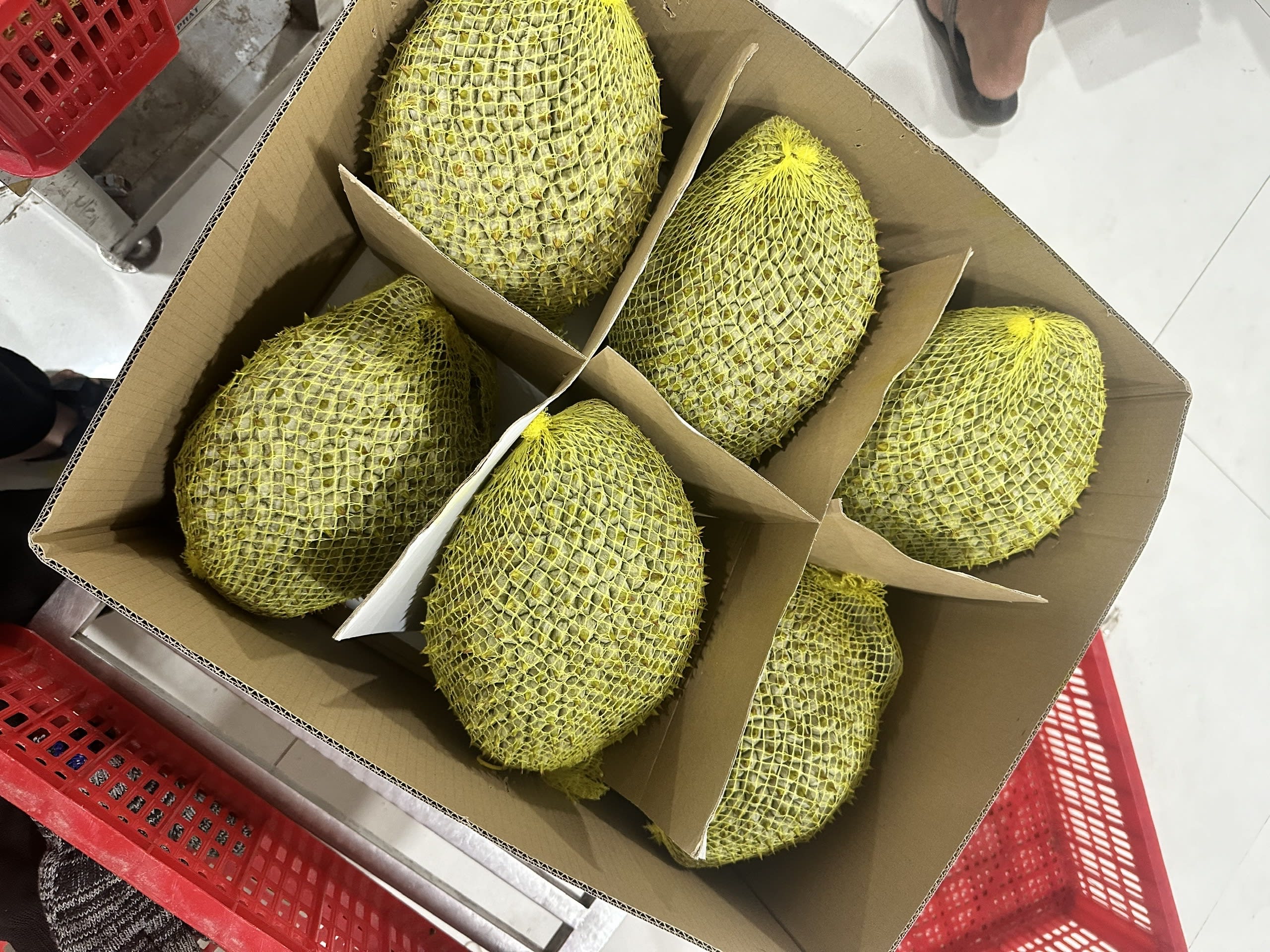 Sầu riêng cấp đông