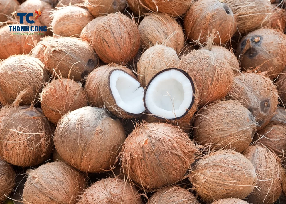 Dừa khô