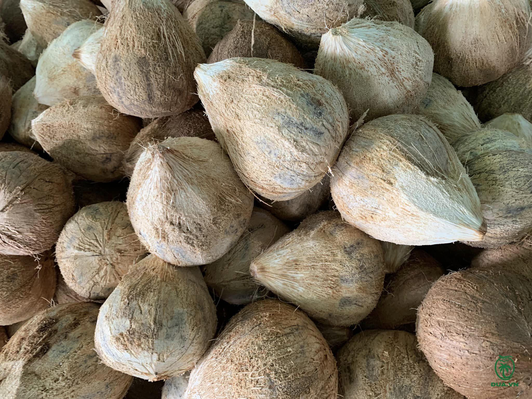 Dừa khô