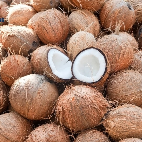 Dừa khô