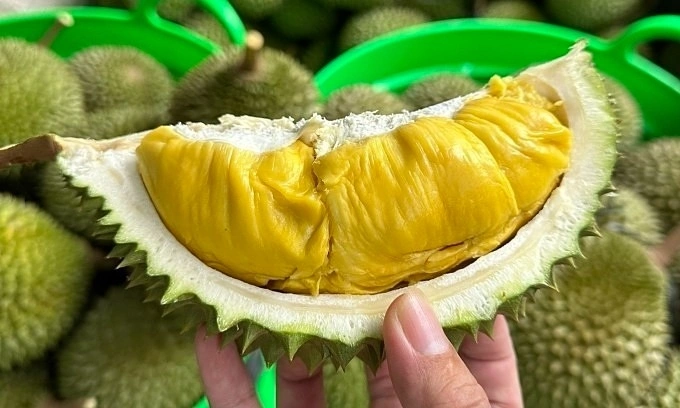 Sầu riêng