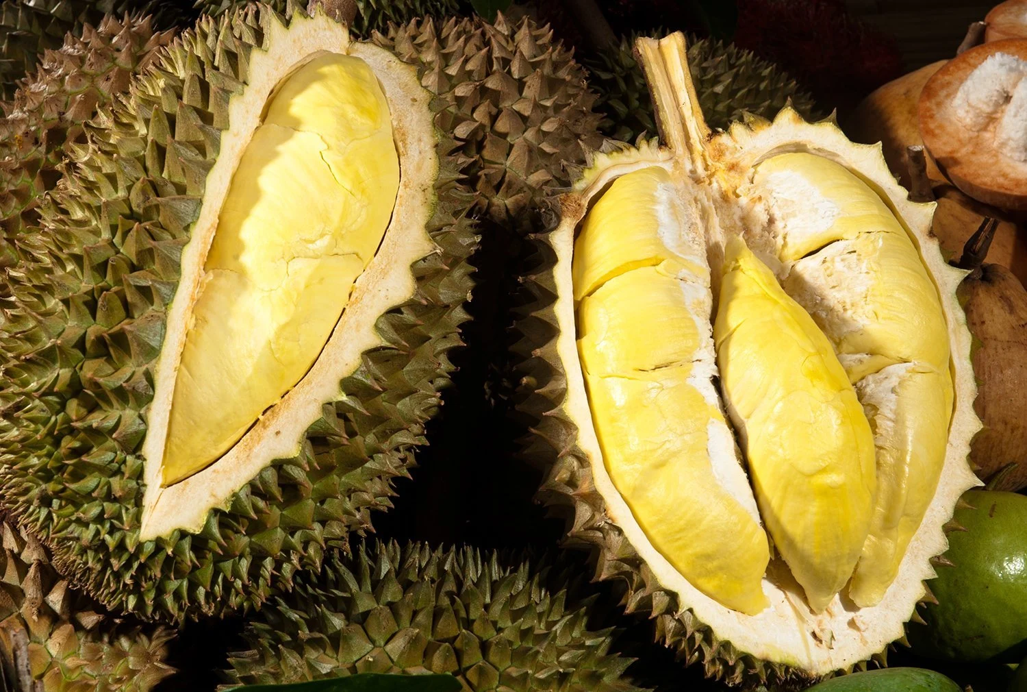 Sầu riêng