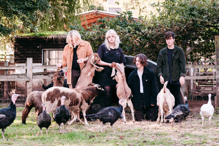 Wych Elm, September 2018. Photograph Copyright © Simon Holliday