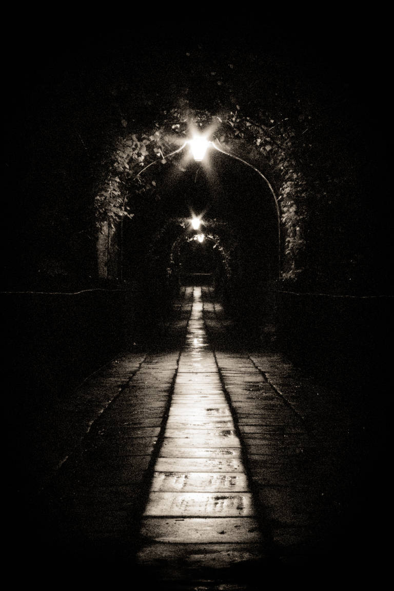 Birdcage Walk, Bristol, June 2010. Photograph Copyright &copy; Simon Holliday