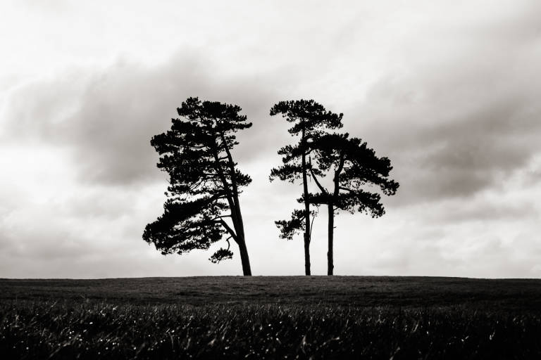 Bristol, November 2014. Photograph Copyright &copy; Simon Holliday