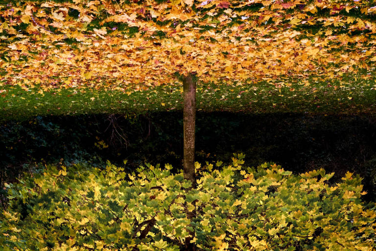 Bristol, November 2013. Photograph Copyright &copy; Simon Holliday