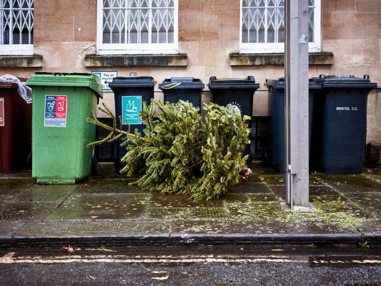 Christmas Tree, January 2023. Photograph Copyright &copy; Simon Holliday