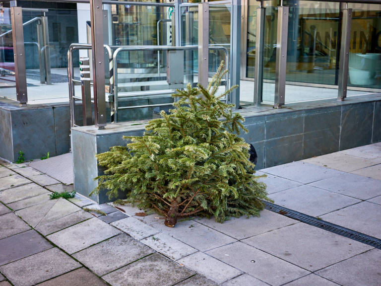 Bristol, January 2024. Photograph Copyright &copy; Simon Holliday