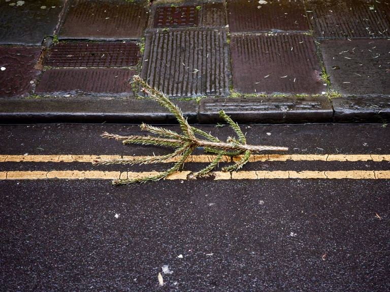 Christmas Tree, January 2023. Photograph Copyright &copy; Simon Holliday