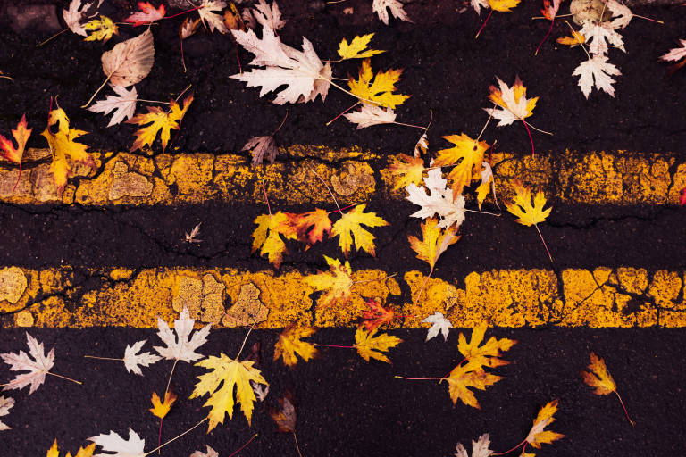 Bristol, November 2014. Photograph Copyright &copy; Simon Holliday