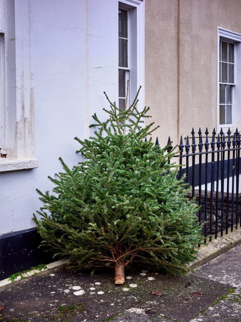 Bristol, January 2024. Photograph Copyright &copy; Simon Holliday