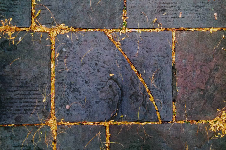 Bristol, October 2014. Photograph Copyright &copy; Simon Holliday