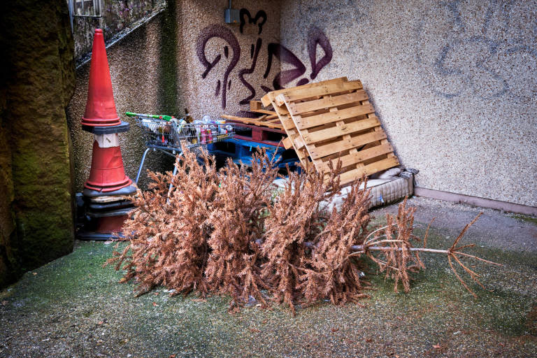 Orchard Heights, Bristol, June 2024. Photograph Copyright &copy; Simon Holliday