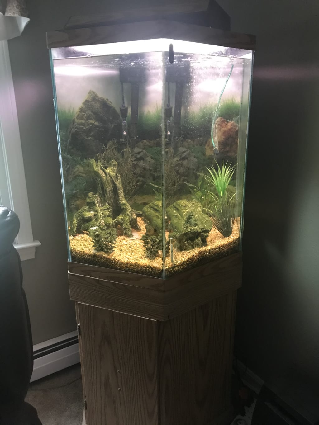 Hexagon fish sales tank stand