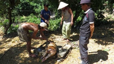 Phong tục cúng hồn người sống nơi núi đá Trường Sơn