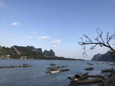 Nhớ mùa hè bên bến sông