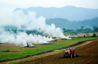 Gối vụ