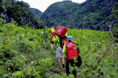 Porter trên đường vào hang Tiên. Ảnh: Oxalis Adventure