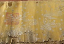 Nhiều sắc phong quý trên địa bàn tỉnh đã bị hư hỏng nên rất cần các phương án bảo tồn, gìn giữ.