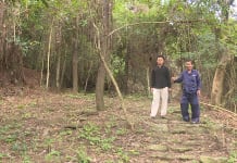 Khoảng 1km đường thiên lý Bắc-Nam với 1.000 bậc tháng đá vừa được huyện Quảng Trạch phát lộ.