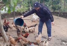 Mô hình chăn nuôi của anh Ngũ Vĩnh H .