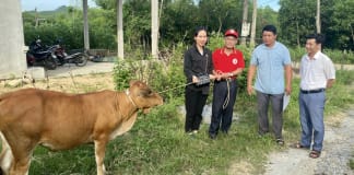 Nhiều hộ nghèo được hỗ trợ sinh kế để phát triển sản xuất, vươn lên thoát nghèo.