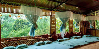 Homestay Sung Túc giữa rừng.