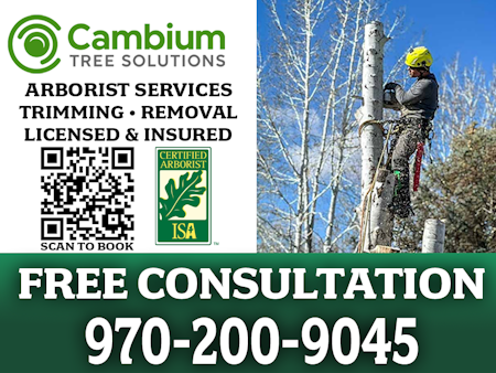 EXPERT TREE CARE GRAND JUNCTION