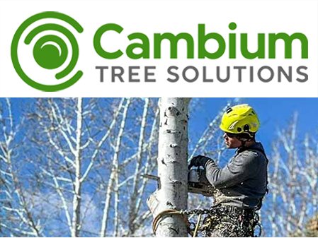 EXPERT TREE CARE GRAND JUNCTION