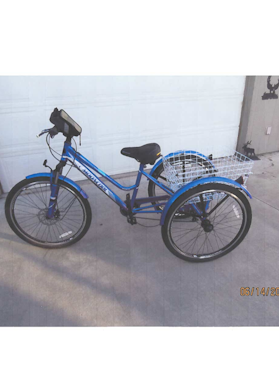 3 Wheel Trike