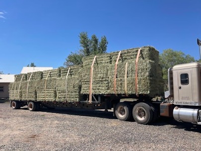 Grass Hay 3x3x8