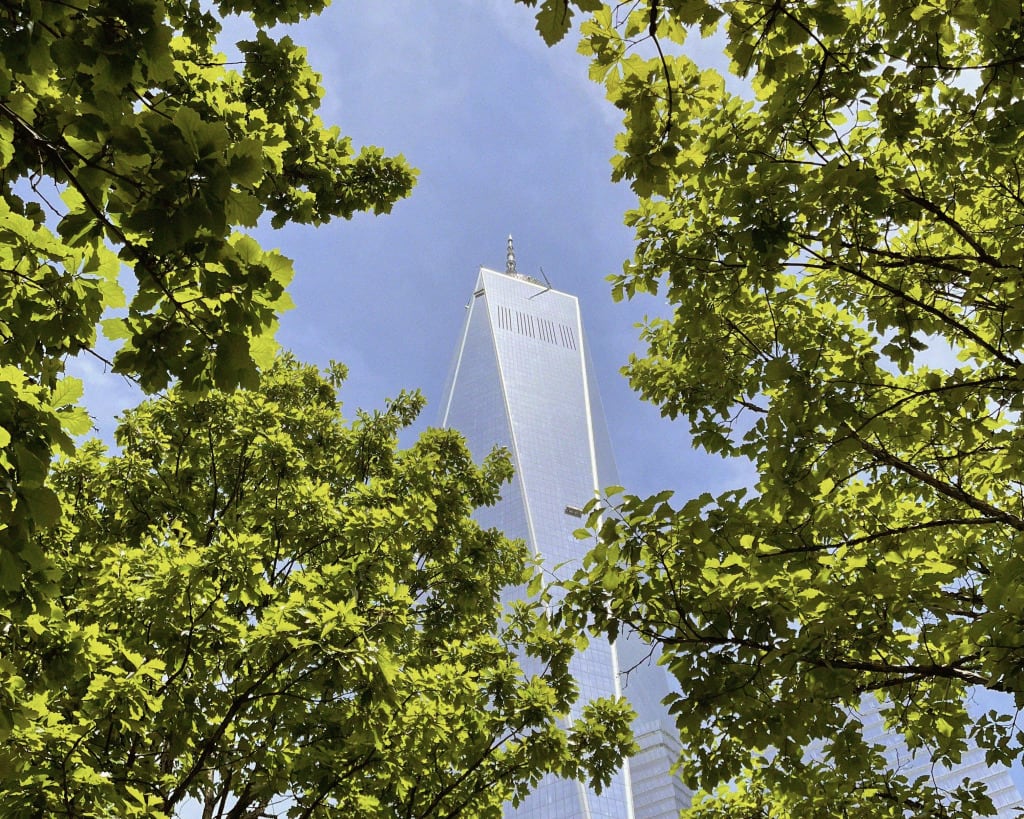 A tall, glass skyscraper with a pointed top, framed by vibrant green tree leaves against a blue sky.