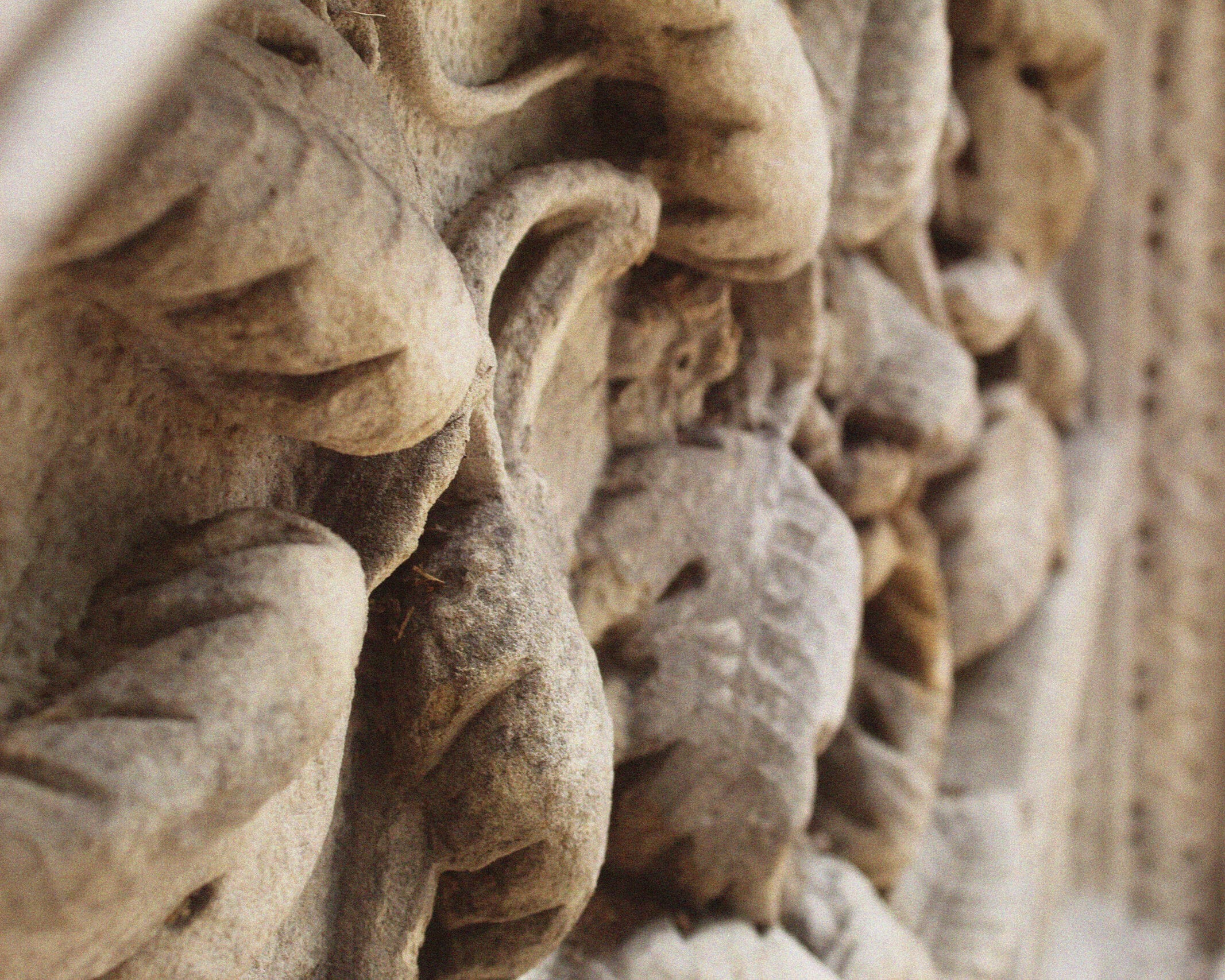 Close-up of a textured, ornate stone carving with stylized organic shapes, in shades of beige and brown, with a shallow depth of field.