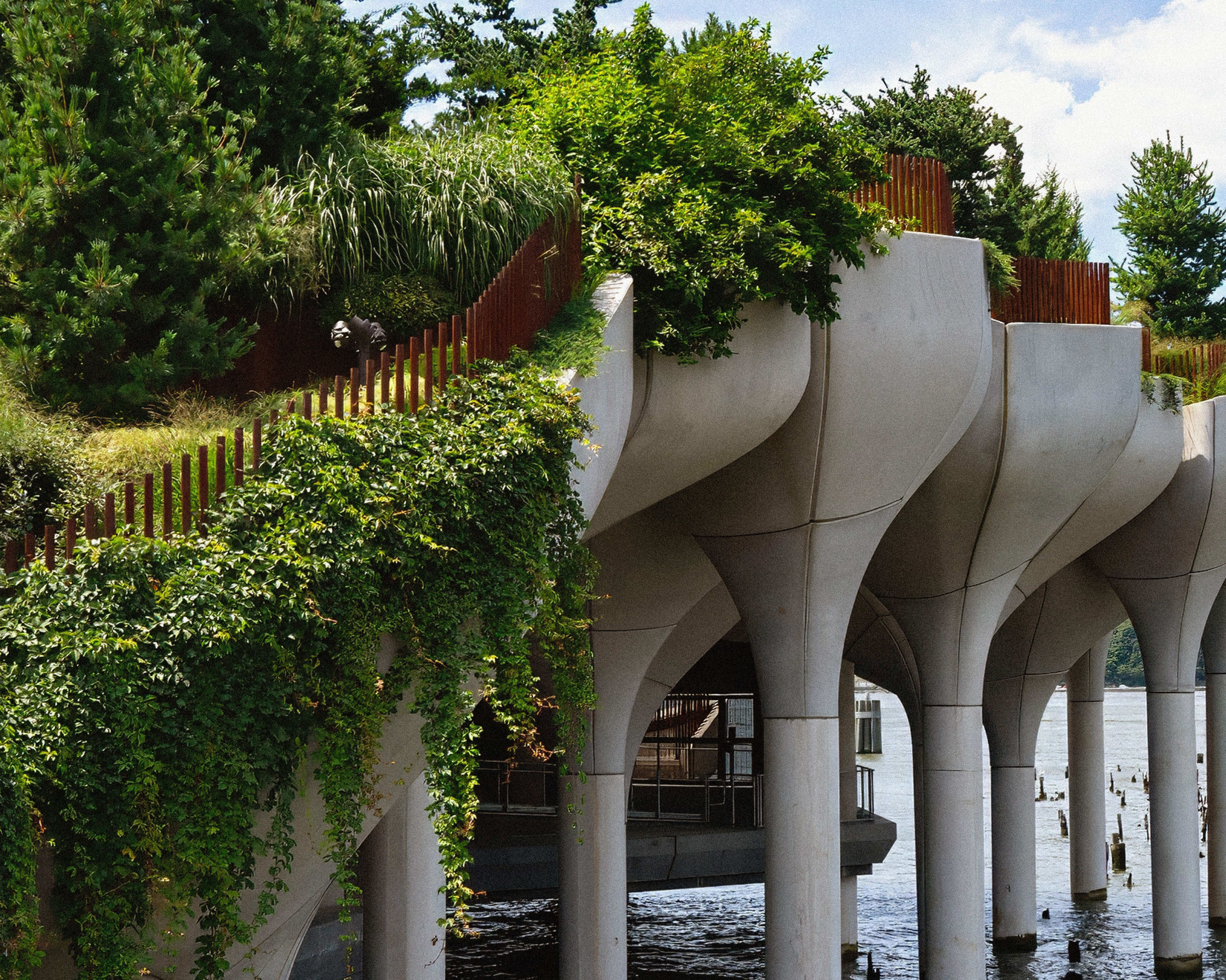 An elevated park on concrete pillars over water, covered in lush green trees and vines under a blue sky.