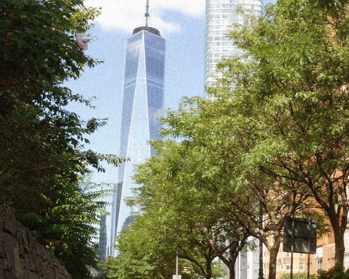 One World Trade Center skyscraper seen through green trees, with other buildings in the background.
