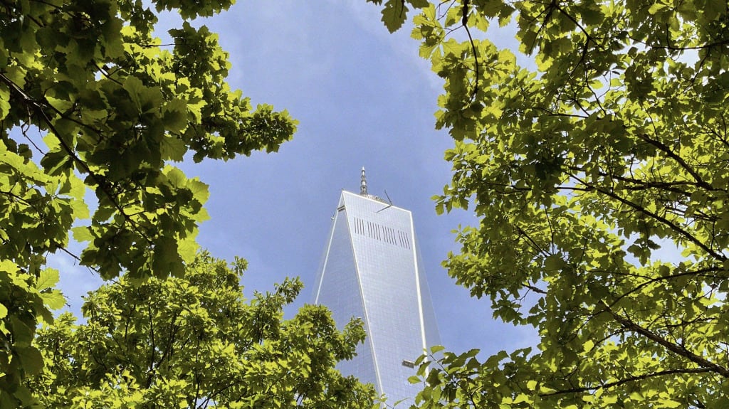 A tall, glass skyscraper with a pointed top, framed by vibrant green tree leaves against a blue sky.