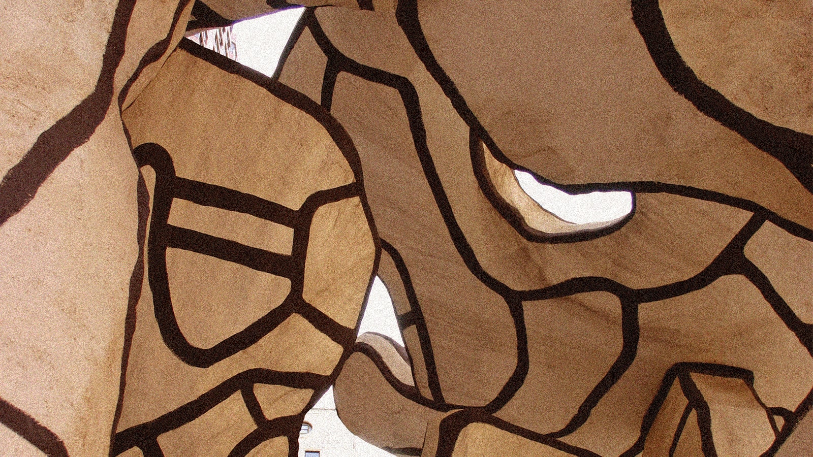Abstract image of irregular, organic brown and dark brown shapes, resembling a cellular pattern, with bright white voids.