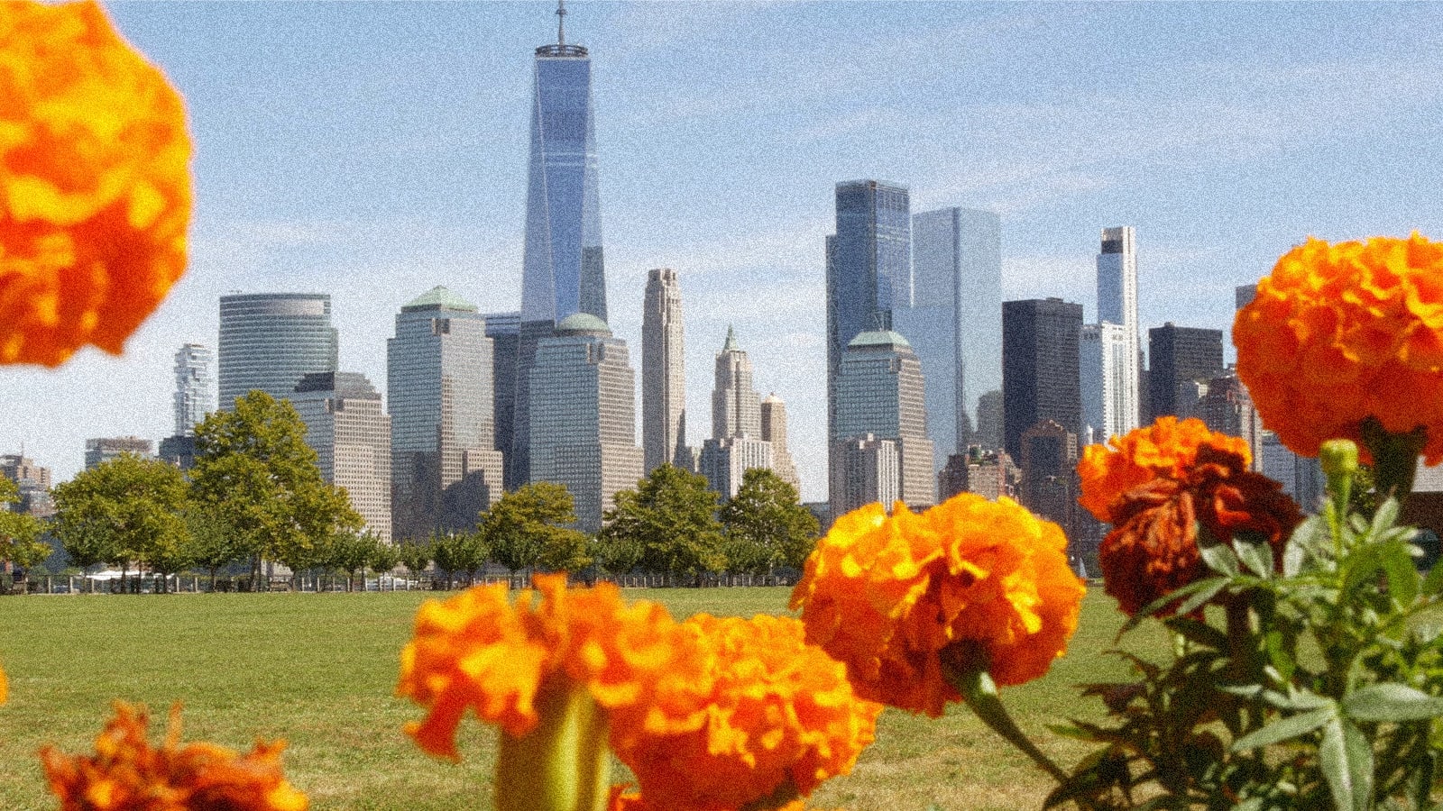 New York City skyline with One World Trade Center, seen from a park with bright orange marigold flowers in the foreground.