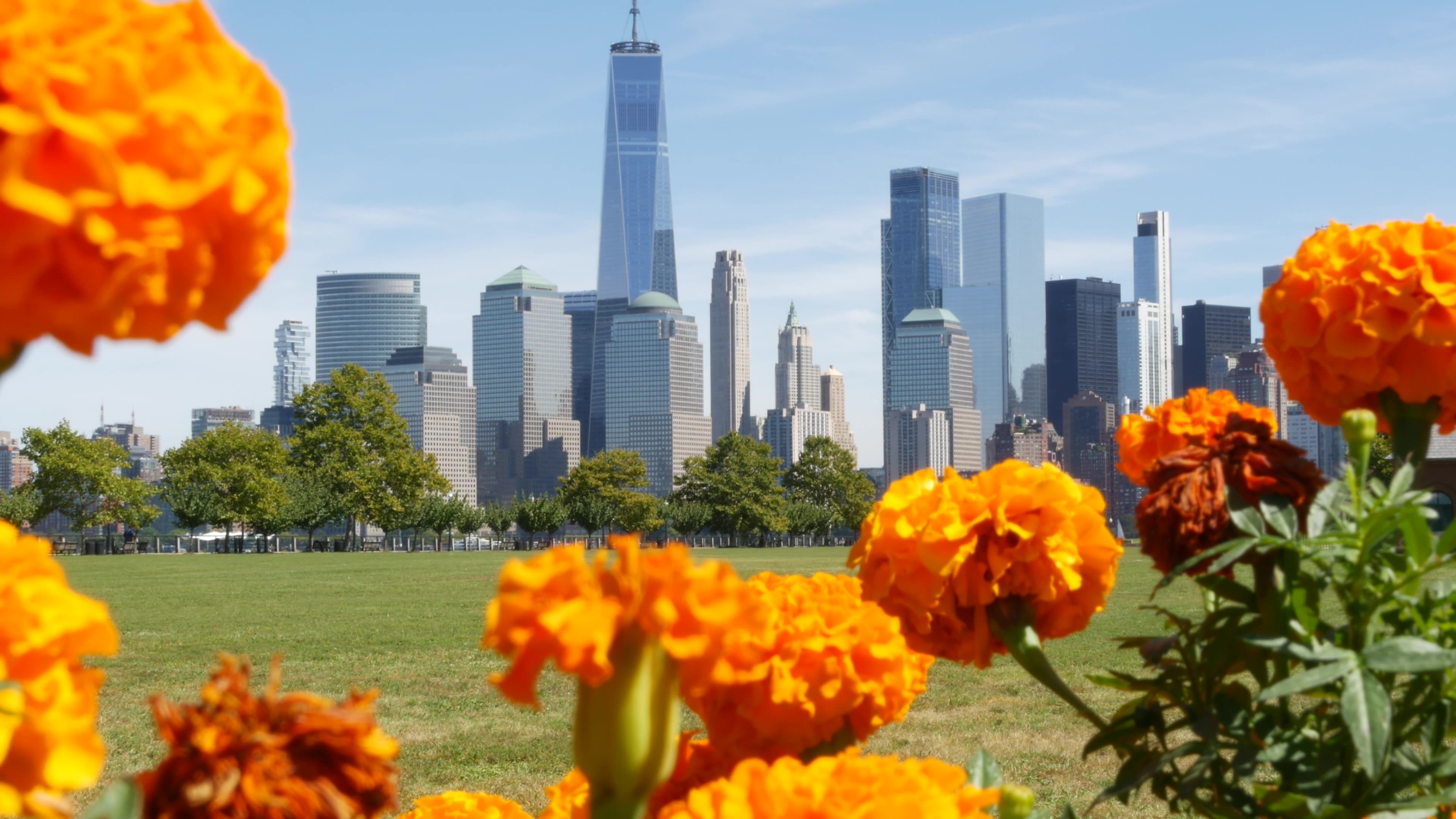 Bright orange flowers in the foreground, with a green park and the New York City skyline, including One World Trade Center, in the background.