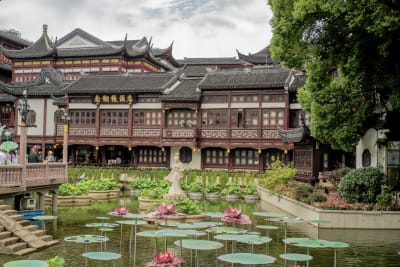 Cina 2026: Shanghai (9–11 giugno) 11