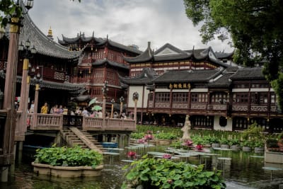 Cina 2026: Shanghai (9–11 giugno) 13